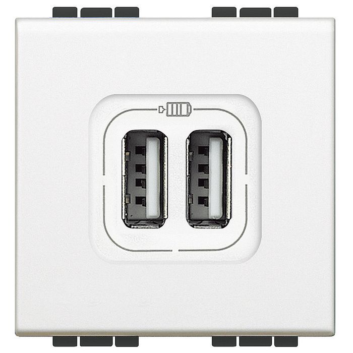 Разъём 2xUSB BTicino LIVING LIGHT, скрытый монтаж, белый, N4285C2